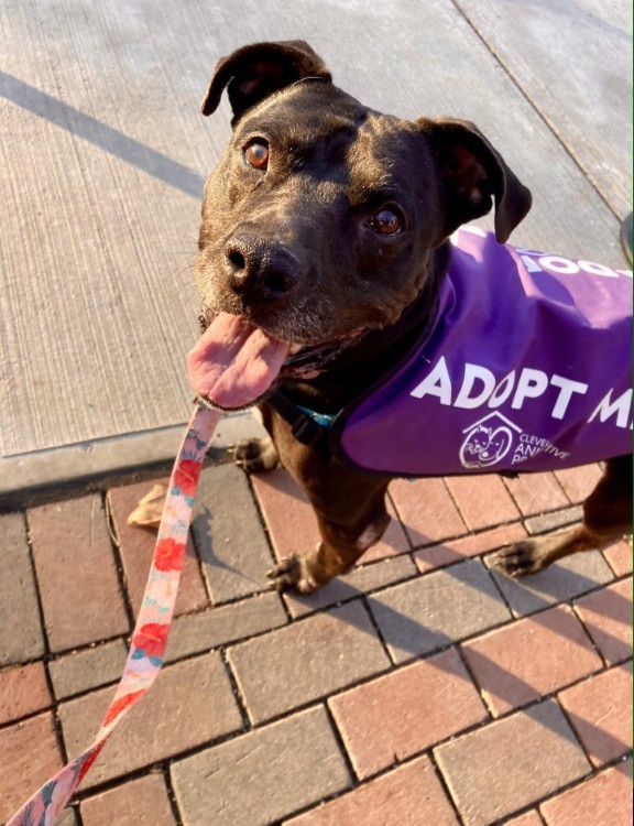 Luna, who has been at the Cleveland APL for more than a year, on a field trip